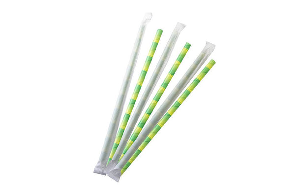 Biodegradable Paper Straws 10 Pack