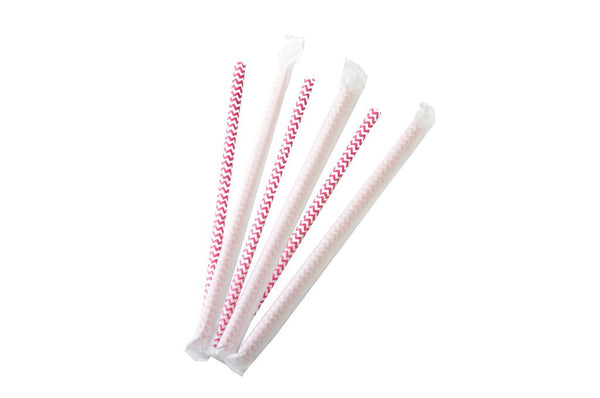 Biodegradable Paper Straws 10 Pack